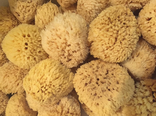 Natural Sea Wool Sponge